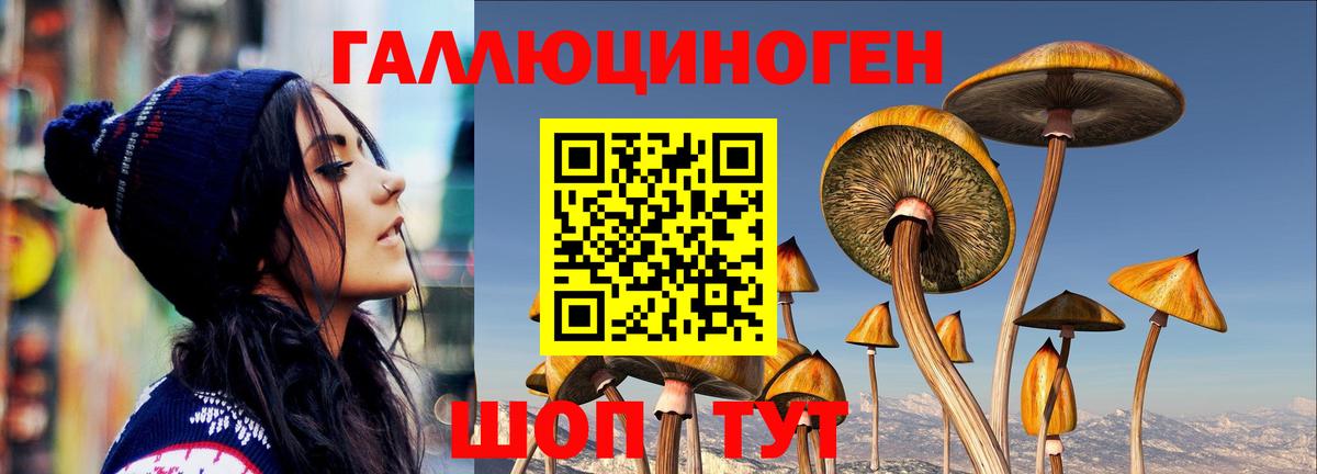 Арзамас  цена наркотик  Вход с VPN  Галлюциногенные грибы GOLDEN TEACHER 